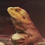 66398186_387034115260469_8266717081542590464_n