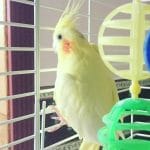 67802942_399326624031218_2304760166353993728_n