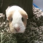 69932394_414237229206824_4290604085968633856_n