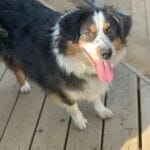 1187F53C-ADE9-42D2-9738-48FAC98023D8