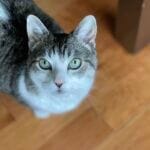 14D756B4-DD52-4C6E-A81D-39D10A321704