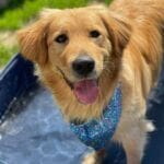 33A6AF98-D462-4188-8B3C-C854DE7E2913