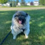 3MXN-conv-attach-120352248