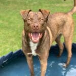 662A22AE-B044-4E0F-9670-5801F504B95E