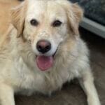 6CF92F5B-FE55-4618-AEC7-3AABAF11CB25