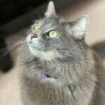 9B0B8D53-0D87-4999-8848-F96103042327