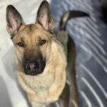 A4F31ECE-759C-433C-9847-7227C116F654