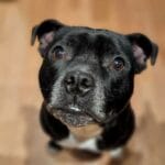 BQ4e-conv-attach-113116897