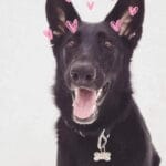 F111E6A0-AAC3-43E0-8BBA-1B0263C04804