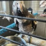 VZob-conv-attach-153375029