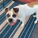 Xyem-conv-attach-117778101