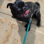 bbdj-conv-attach-107627540