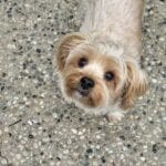 nMGe-conv-attach-124348870