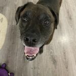 nhHp-conv-attach-114729697