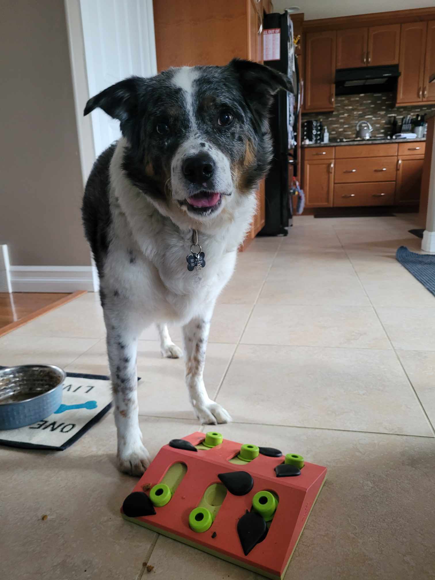 448221422_338177355982653_6437805384331672811_n