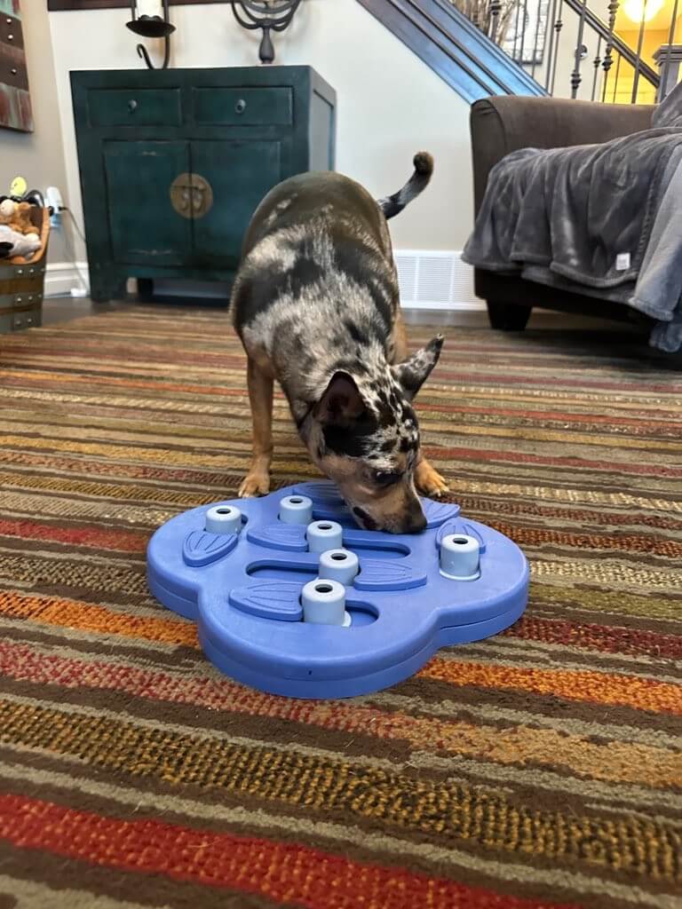 fCMu-conv-attach-217645446