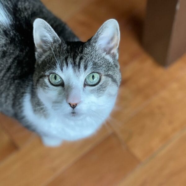 14D756B4-DD52-4C6E-A81D-39D10A321704