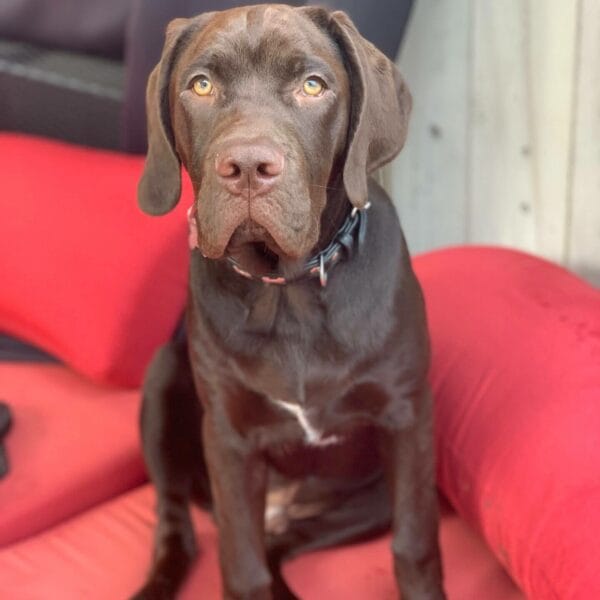 36BC14C5-5200-4E72-93AD-76896EF4906D