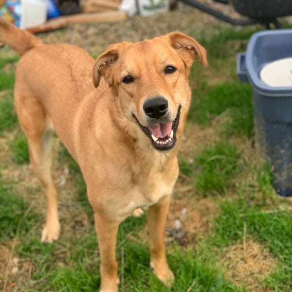 6199451B-EAD6-4646-A86F-15D7438EF1E0