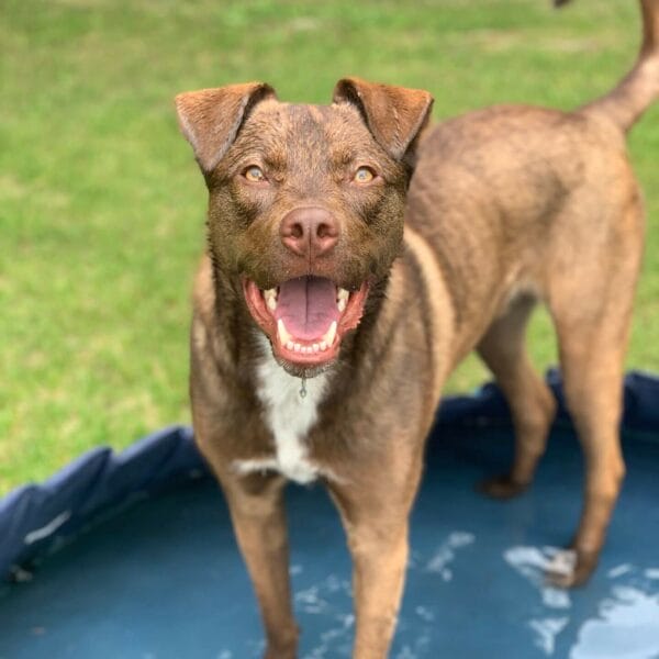 662A22AE-B044-4E0F-9670-5801F504B95E