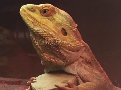 66398186_387034115260469_8266717081542590464_n