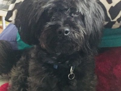 66473722_388477338449480_3339412118603563008_n