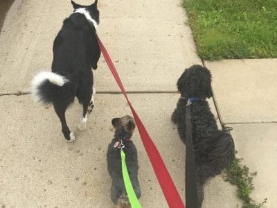 66521553_388477415116139_6495161866443030528_n