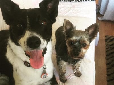 66687822_389001408397073_3739779757231833088_n