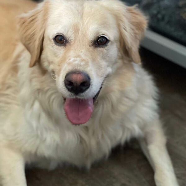 6CF92F5B-FE55-4618-AEC7-3AABAF11CB25