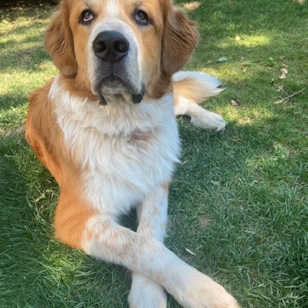 7Djs-conv-attach-122059632