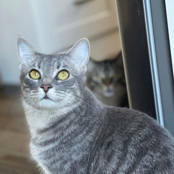 95F5099B-DE56-43C8-A3B4-5DAFAC313B7C