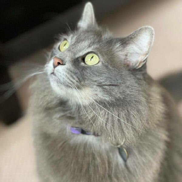 9B0B8D53-0D87-4999-8848-F96103042327