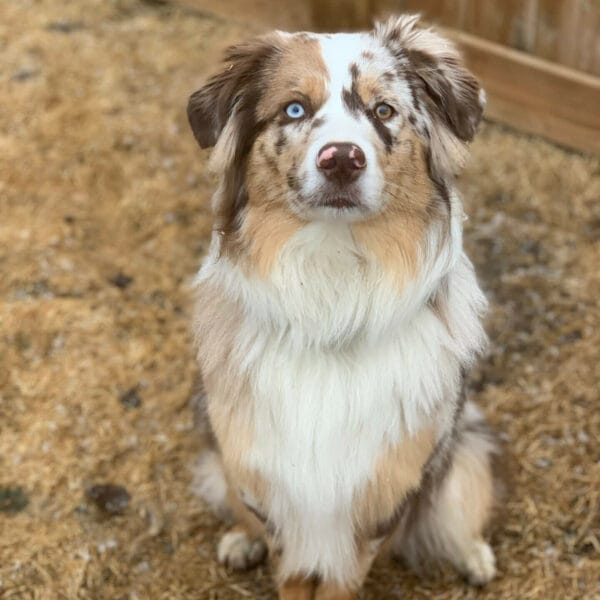 B7B5F9A3-DBD2-4295-B601-2184127BB51A