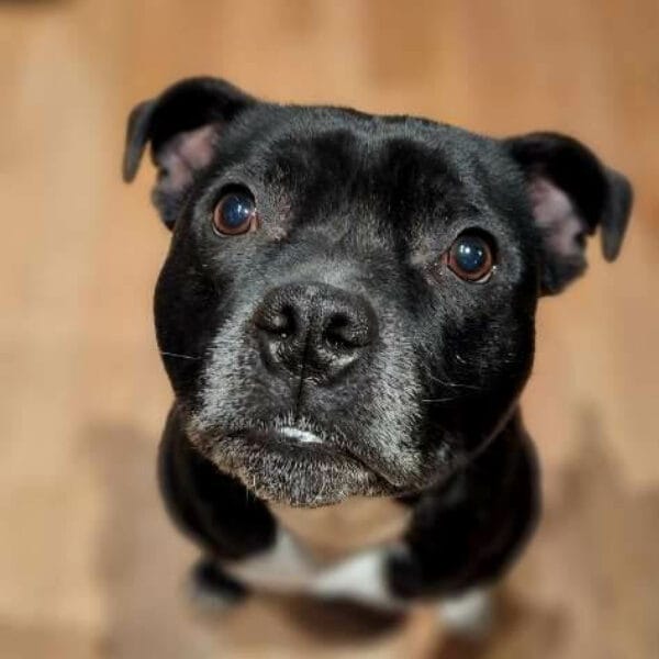 BQ4e-conv-attach-113116897