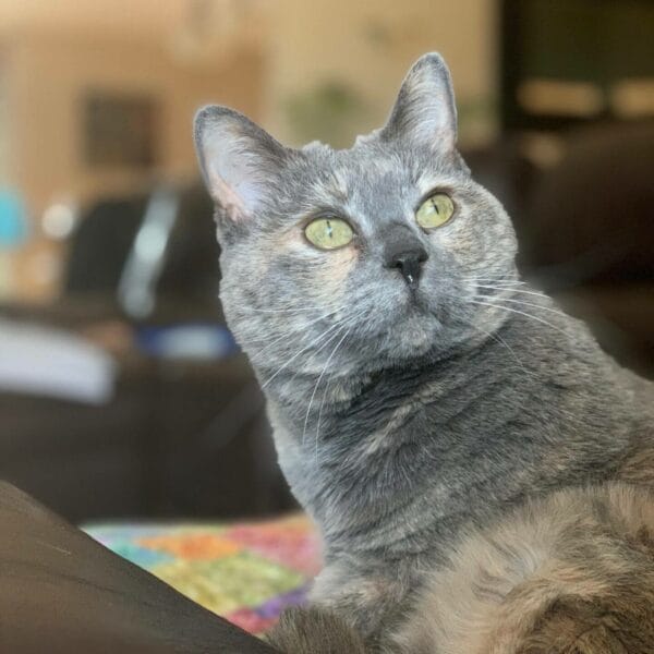 D46CEA1A-2BDF-4173-9FE2-E782BFCCEA2D