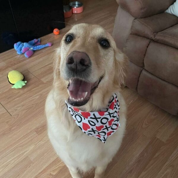 E47DB5D5-2E6B-4C2A-9039-171BAABB61EA