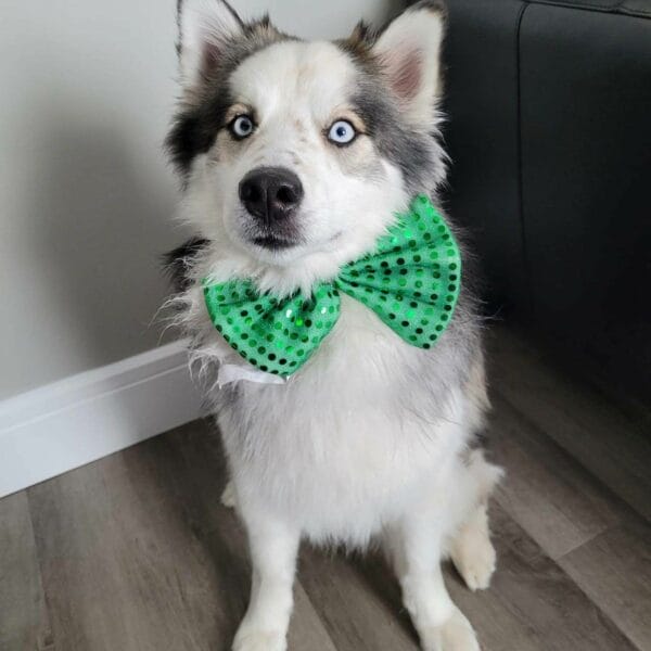 E798F09E-0920-43F7-952D-84C64545CF12