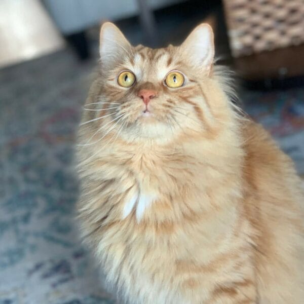 FEB50249-0037-4905-8012-3772B34EE705