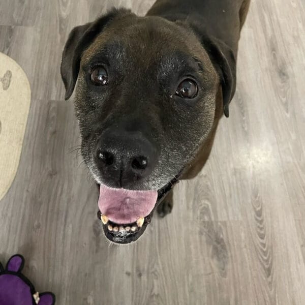 nhHp-conv-attach-114729697