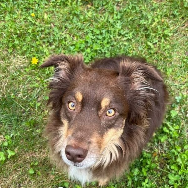 qoy1-conv-attach-112623155