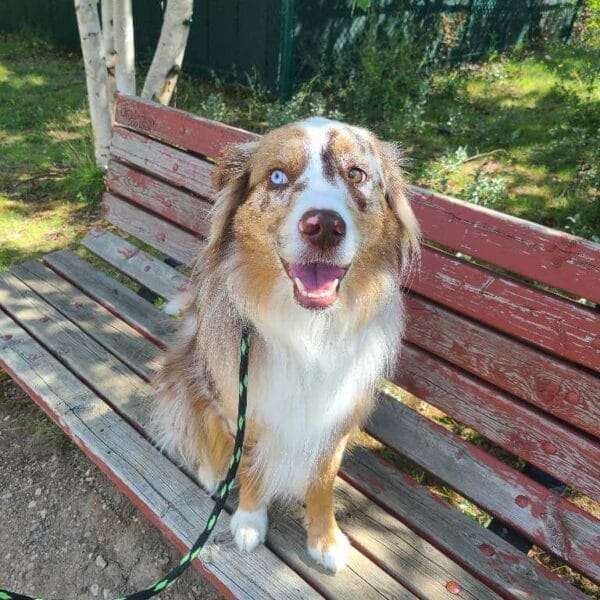 uXjS-conv-attach-121079434